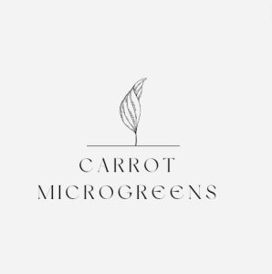 Carrot Microgreens